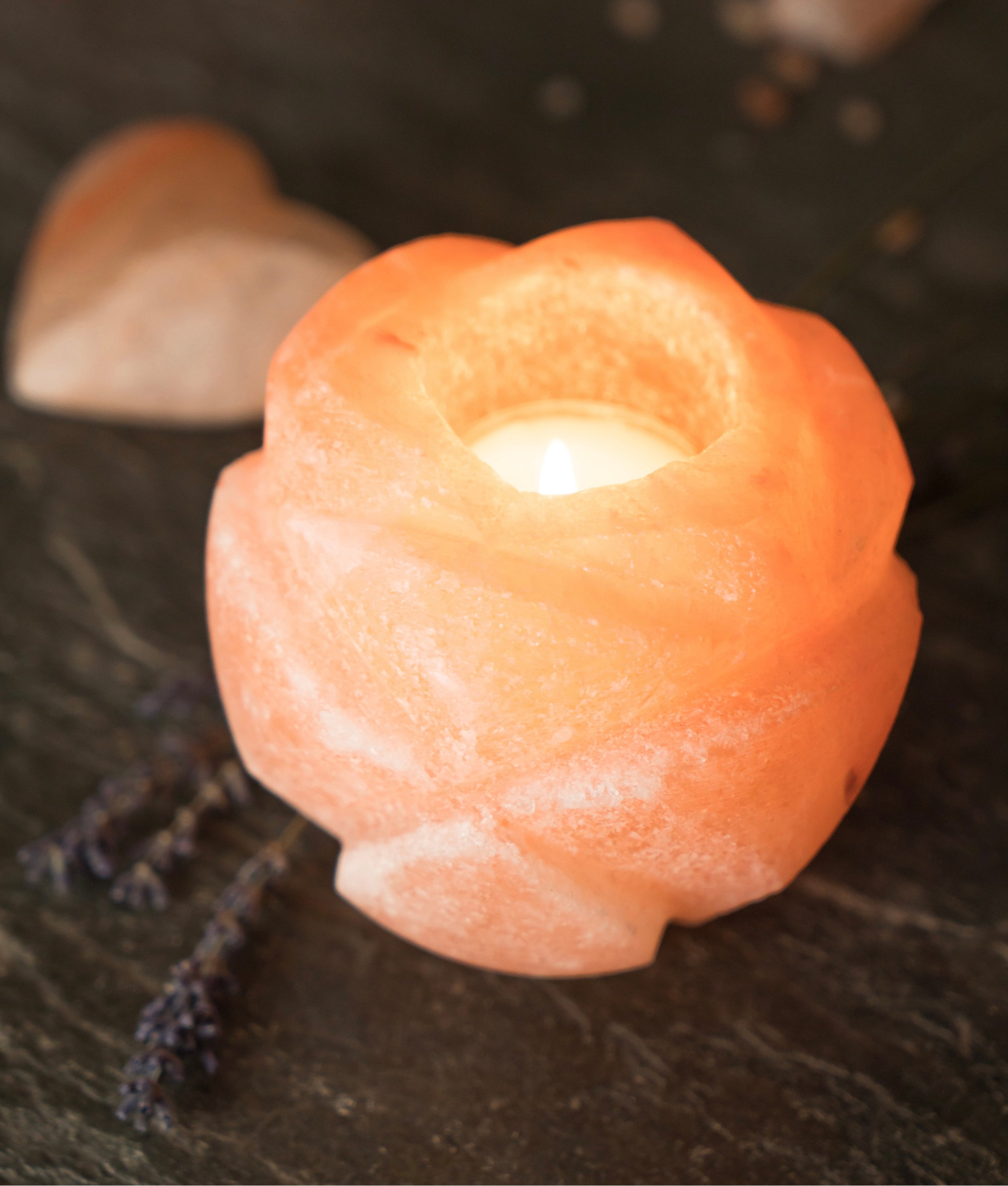 Salt Lotus Flower Tealight Holder